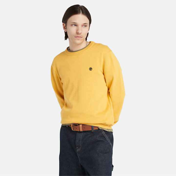 Мъжки пуловер Williams River Crewneck Jumper for Men in Yellow TB0A2BMM723 02