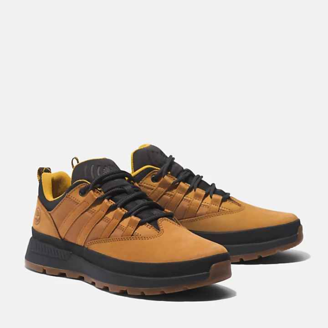 Мъжки обувки Euro Trekker Low Hiker for Men in Yellow TB0A6274231 04