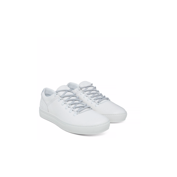 Мъжки обувки Adventure 2.0 Cupsole Alpine Oxford White A1HIB 03