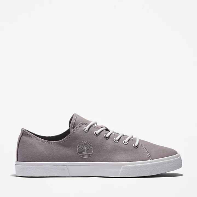 Мъжки обувки Union Wharf 2.0 EK+ Trainer for Men in Grey TB0A29JB089 01