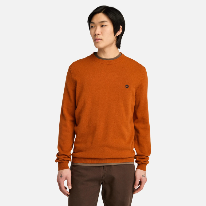 Мъжки пуловер Cohas Brook Merino Crew Neck Jumper for Men in Orange TB0A2BFH888 01