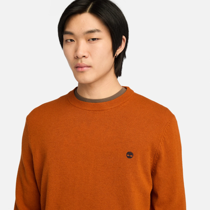 Мъжки пуловер Cohas Brook Merino Crew Neck Jumper for Men in Orange TB0A2BFH888 03