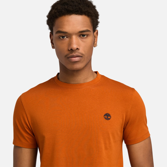 Мъжка тениска Dunstan River T-Shirt for Men in Dark Orange TB0A2BPR888 03