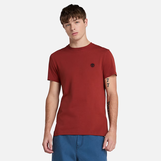 Мъжка тениска Dunstan River T-Shirt for Men in Red N TB0A2BPREOD 01