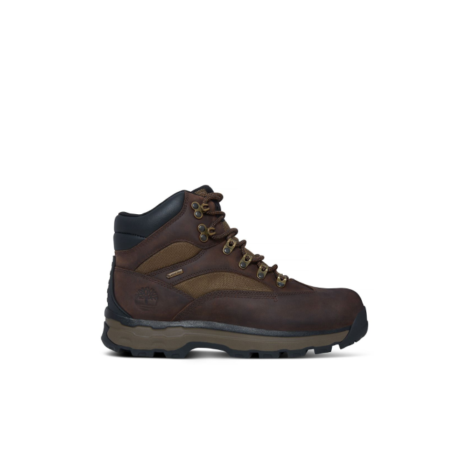 Мъжки ботуши Chocorua Trail 2 Gore-Tex® Hiker Brown A1HKQ 01