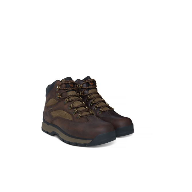 Мъжки ботуши Chocorua Trail 2 Gore-Tex® Hiker Brown A1HKQ 02