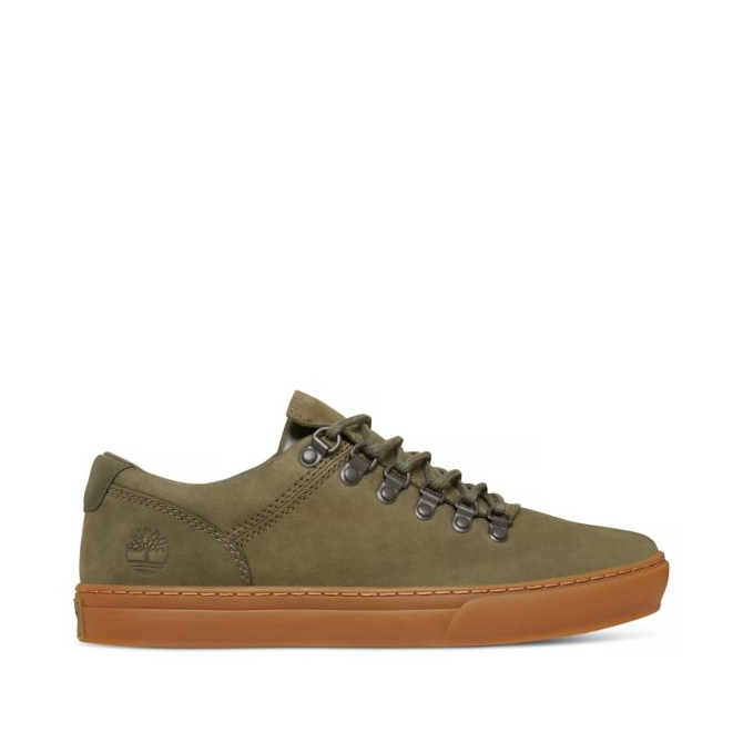 Мъжки обувки Adventure 2.0 Cupsole Alpine Oxford Green A1NH9 01