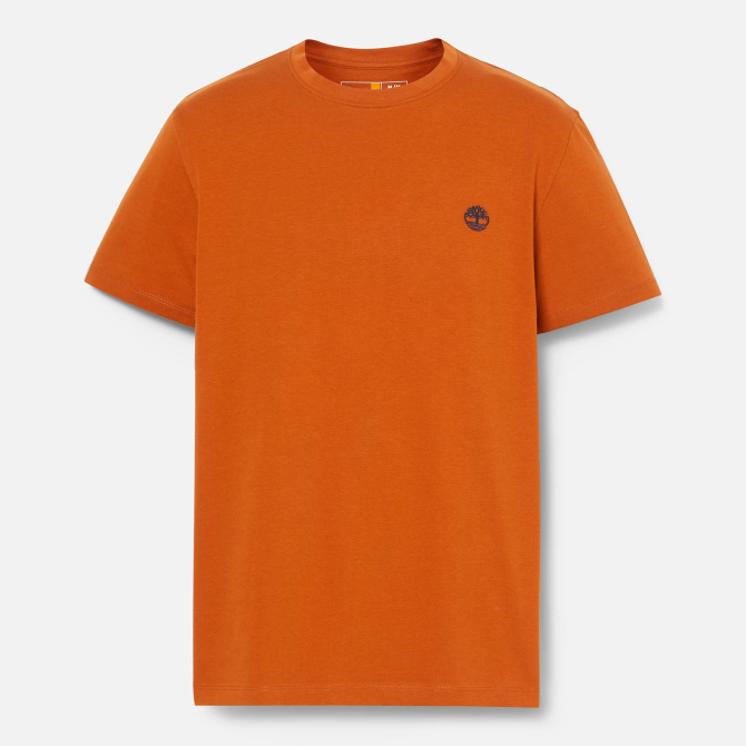 Мъжка тениска Dunstan River T-Shirt for Men in Dark Orange TB0A2BPR888 05