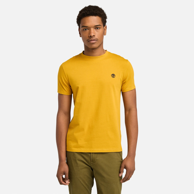 Мъжка тениска Dunstan River T-Shirt for Men in Yellow TB0A2BPREFM 01