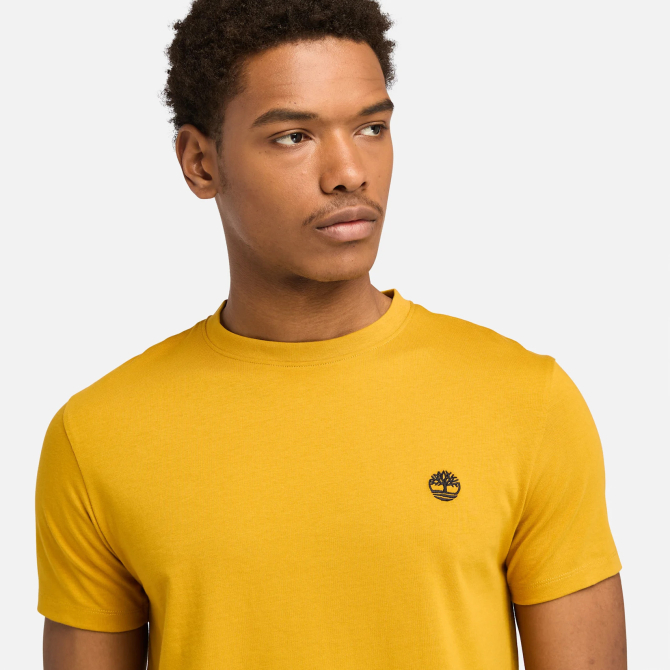 Мъжка тениска Dunstan River T-Shirt for Men in Yellow TB0A2BPREFM 03