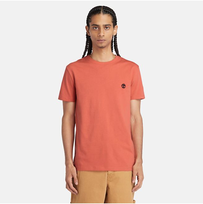 Мъжка тениска Dunstan River T-Shirt for Men in Light Orange