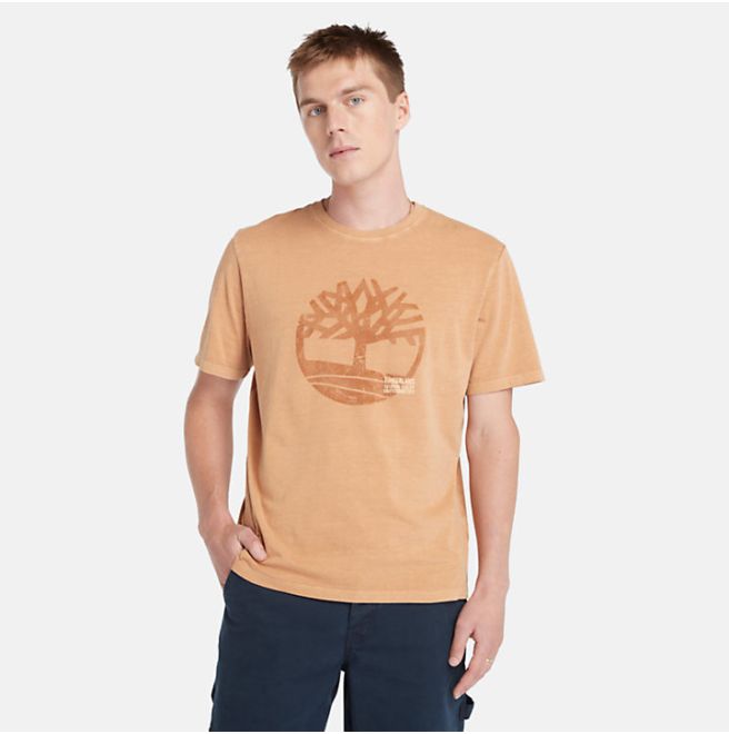 Мъжка тениска Garment Dye Logo Graphic T-Shirt for Men in Dark Yellow