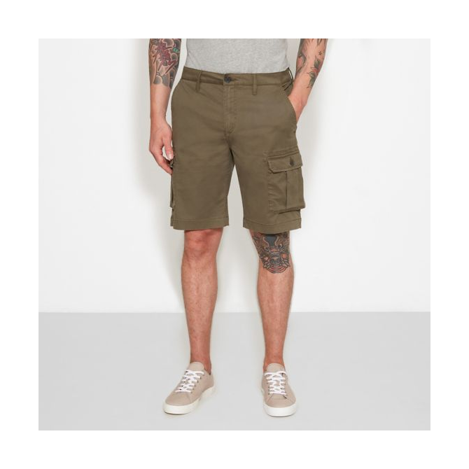 Мъжки панталон Webster Lake Cargo Shorts Greige A1KDOA58 02