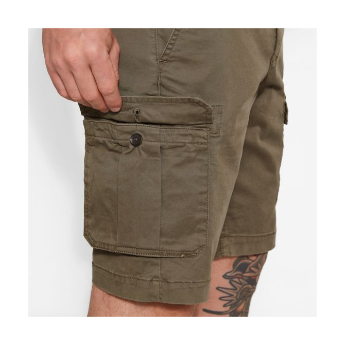Мъжки панталон Webster Lake Cargo Shorts Greige A1KDOA58 05