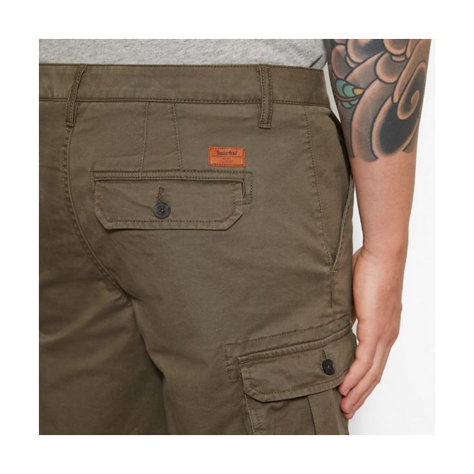 Мъжки панталон Webster Lake Cargo Shorts Greige A1KDOA58 06