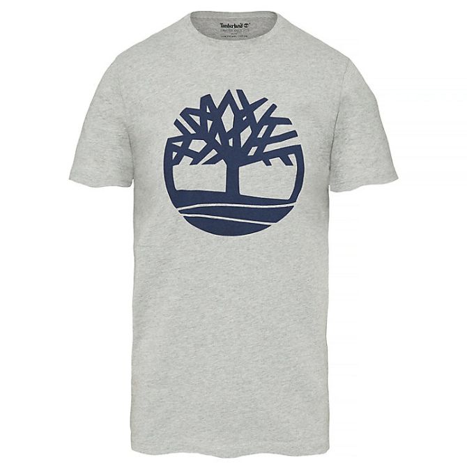 Мъжка тениска Kennebec River Tree T-Shirt for Men in Grey A1L6OK65 01