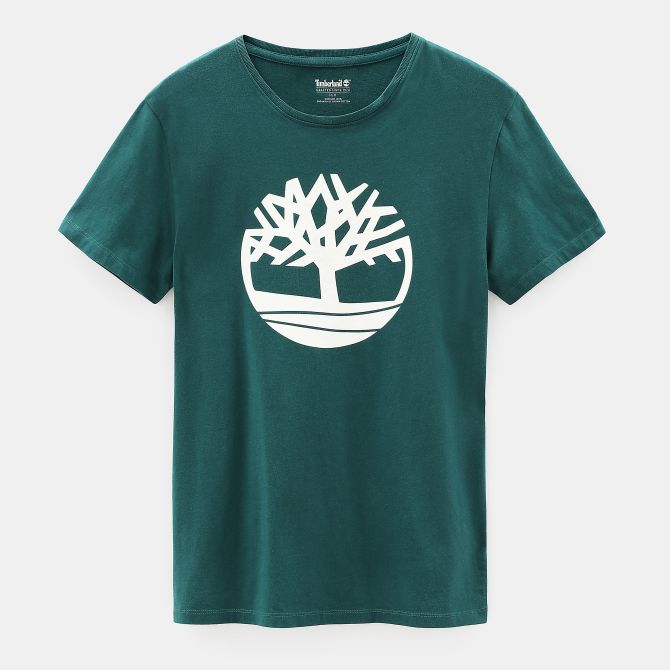 Мъжка тениска Kennebec River Tree T-shirt for Men in Green TB0A1L6OV35 01