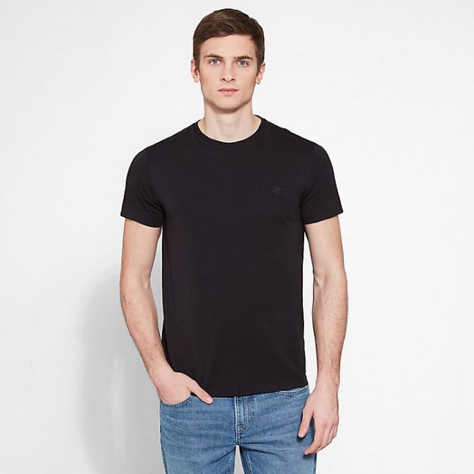 Мъжка тениска Dunstan River T-shirt for Men in Black TB0A1LOT001 02