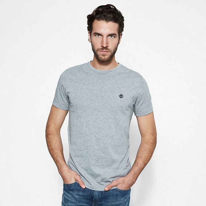 Мъжка тениска Dunstan River T-shirt for Men in Grey TB0A1LOT052 02
