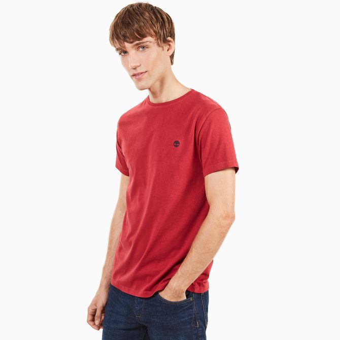Мъжка тениска Dunstan River T-shirt for Men in Red TB0A1LOTR09 04