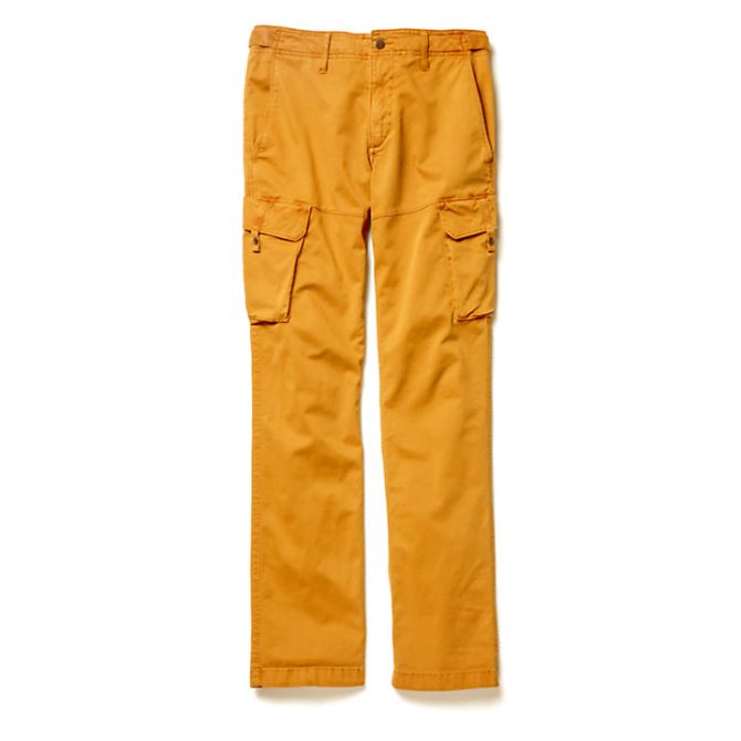 Мъжки панталон Squam Lake Twill Cargo Trousers for Men in Yellow TB0A1MTKP47 01