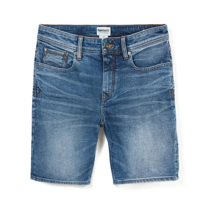 Мъжки панталон Canobie Lake Shorts for Men in Worn-in Blue TB0A1NYET13 01