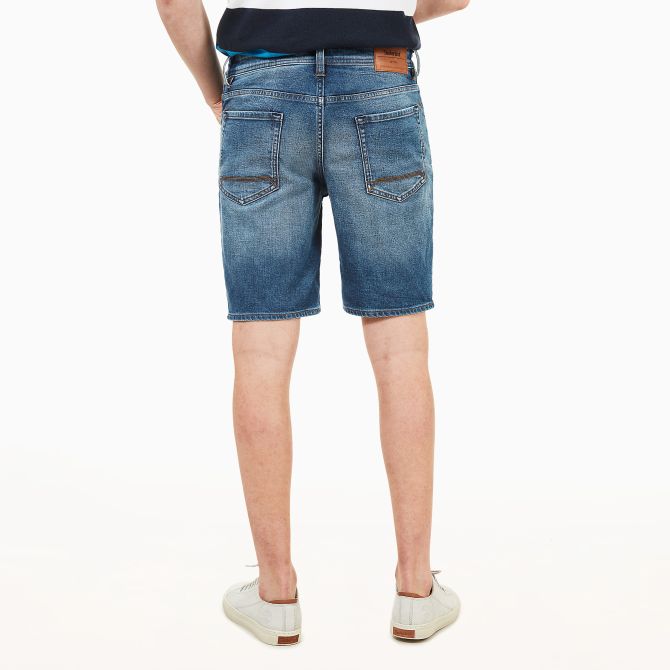 Мъжки панталон Canobie Lake Shorts for Men in Worn-in Blue TB0A1NYET13 03