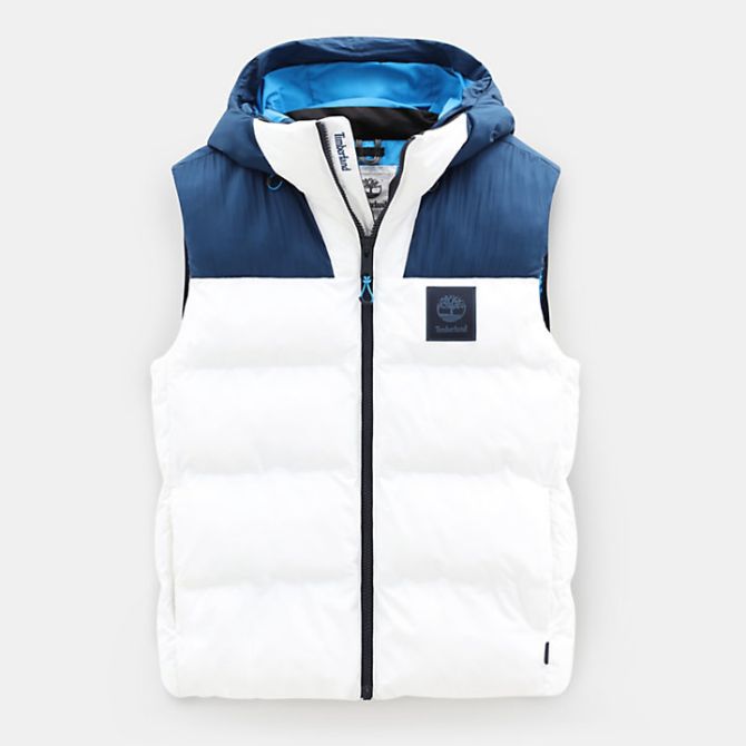 Мъжки елек Neo Summit Vest for Men in Blue/White TB0A1X42W41 01