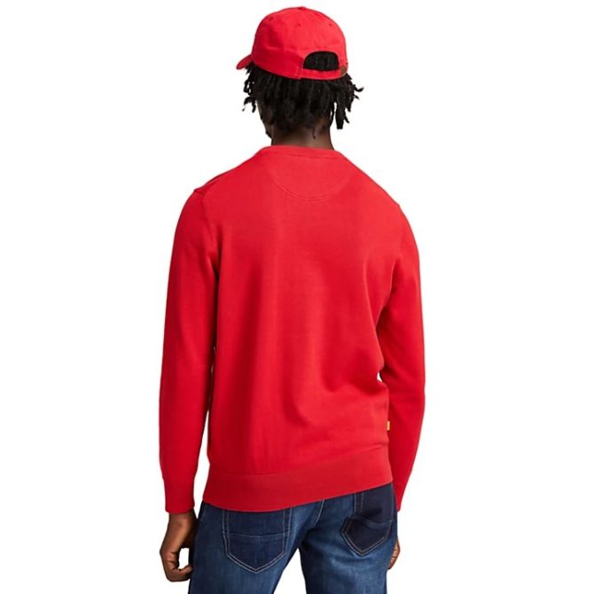 Мъжки пуловер Williams River Organic Cotton Sweater for Men in Red TB0A2BMMCA1 03