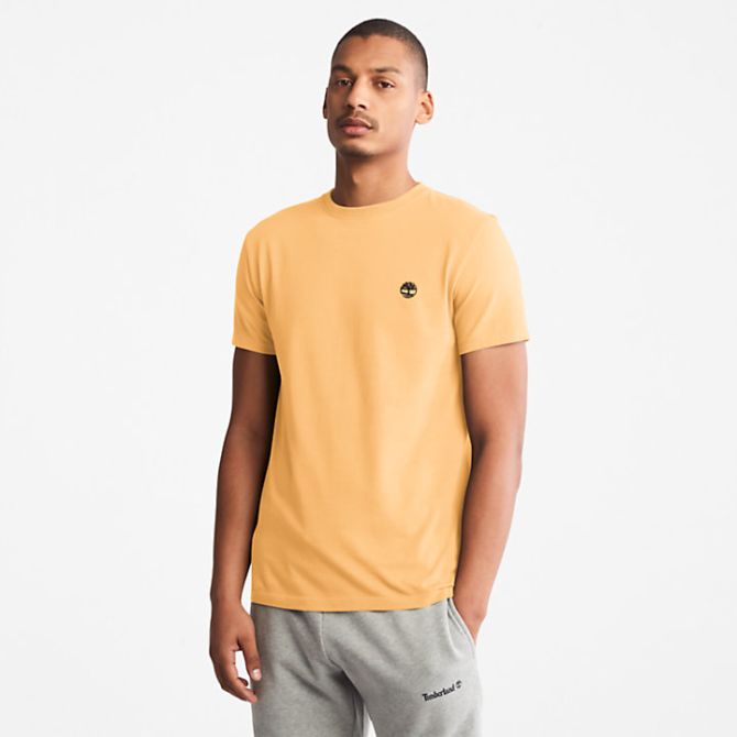 Мъжка тениска Dunstan River T-Shirt for Men in Yellow TB0A2BPRCL8 03