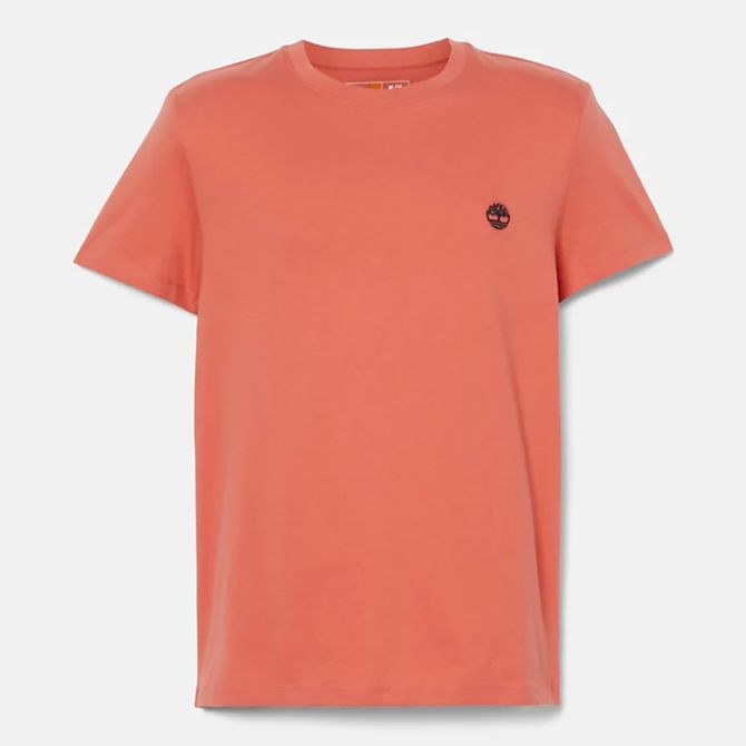 Мъжка тениска Dunstan River T-Shirt for Men in Light Orange TB0A2BPREI4 05