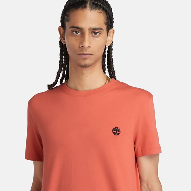 Мъжка тениска Dunstan River T-Shirt for Men in Light Orange TB0A2BPREI4 03