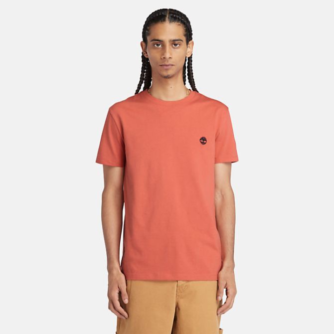 Мъжка тениска Dunstan River T-Shirt for Men in Light Orange TB0A2BPREI4 01