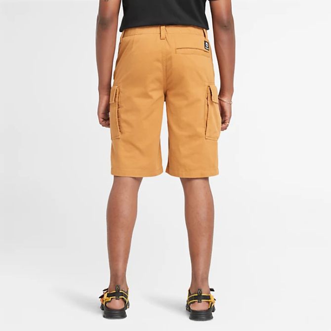 Мъжки шорти Twill Cargo Shorts for Men in Dark Yellow TB0A5U1BP47 03