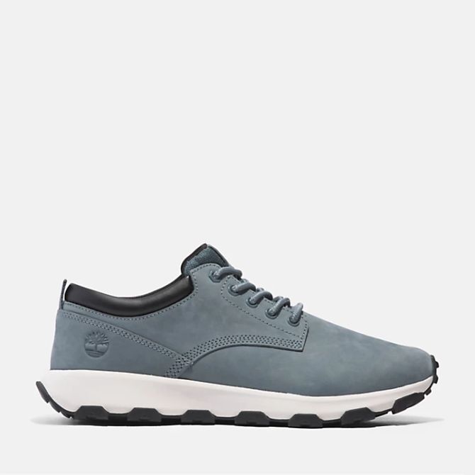 Мъжки обувки Winsor Park Trainer for Men in Blue TB0A68H1ES2 01