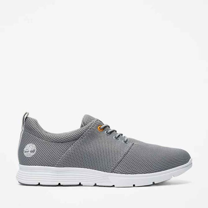 Мъжки обувки Killington Oxford Shoe for Men in Grey TB0A2FWE085 01