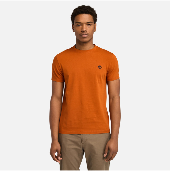 Мъжка тениска Dunstan River T-Shirt for Men in Dark Orange