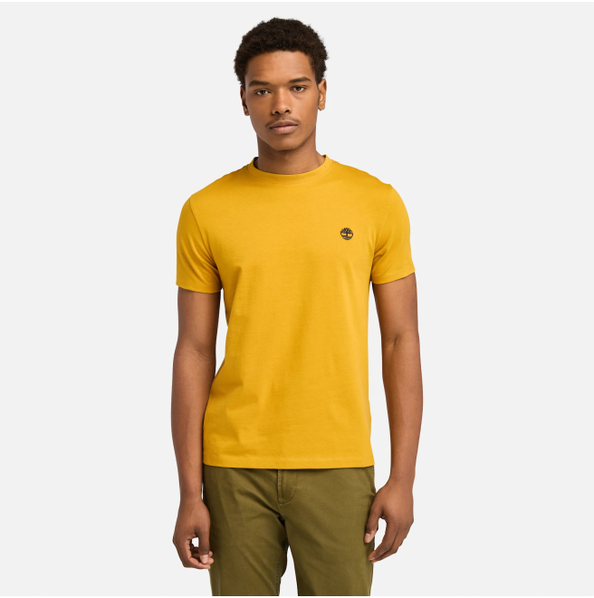 Мъжка тениска Dunstan River T-Shirt for Men in Yellow