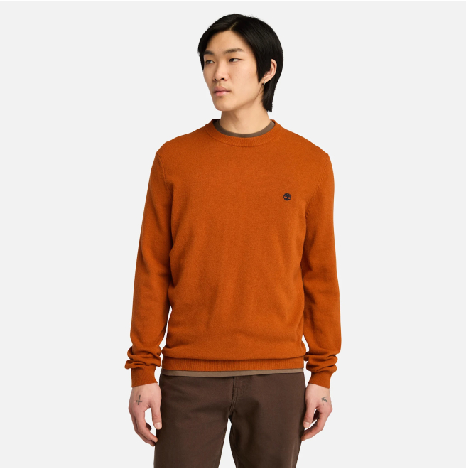 Мъжки пуловер Cohas Brook Merino Crew Neck Jumper for Men in Orange