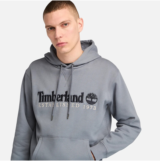 Мъжко горнище Established 1973 Hoodie for Men in Grey